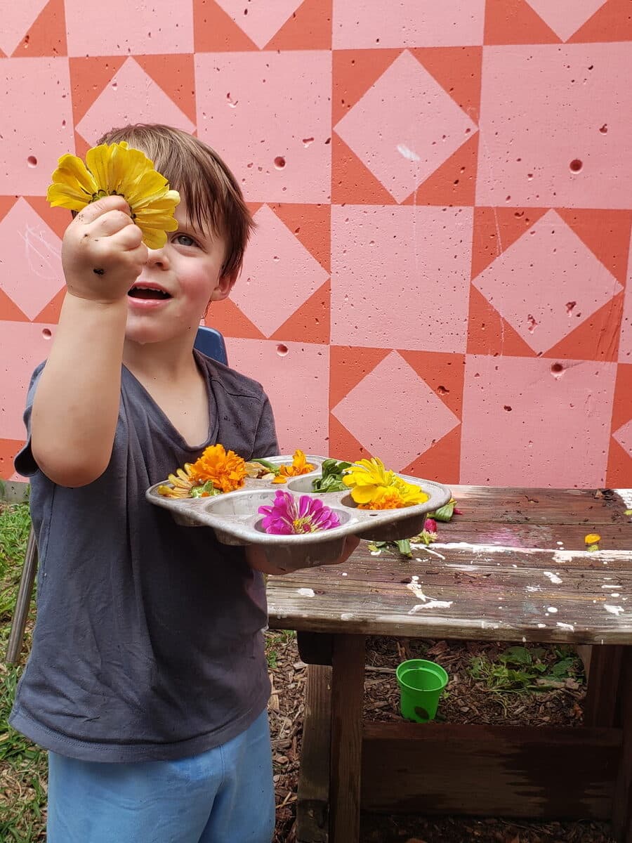 Toddler holding up a marigold beside a tray of garden flowers